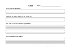 Arbeitsblatt-Kattas-3.pdf